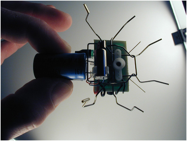 BEAM INSPIRED SOLAR POWERED ROBOTIC HOUSEFLY BY ARTIST CHRISTOPHER CONTE