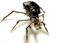 ANTIQUE ROBOTIC SPIDER TITLED SINGER INSECT BY ARTIST CHRISTOPHER CONTE